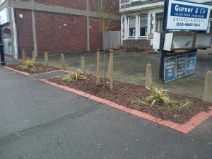 Floer Beds, outside Gurners, Carshalton High Street