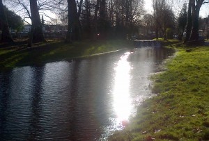 Carshalton Place Canal in the February sunshine